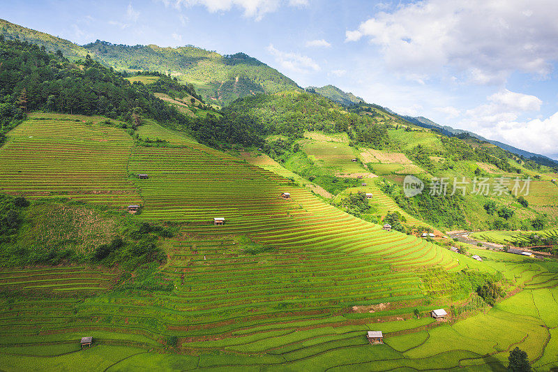 美丽的风景，绿色的稻田准备在越南西北部的梯田日落山在木仓寨，Yen Bai，越南